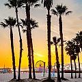 Santa Monica Palms Photograph by Az Jackson Santa Monica Palms Photograph by Az Jackson