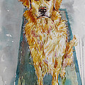 Sasha Painting by Jyotika Shroff Sasha Painting by Jyotika Shroff