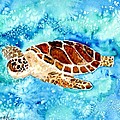 Sea Turtle by Derek Mccrea Sea Turtle by Derek Mccrea