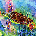 Sea Turtle Painting by Hailey E Herrera Sea Turtle Painting by Hailey E Herrera