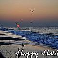 Seagull Sunrise Digital Art by Michael Thomas Seagull Sunrise Digital Art by Michael Thomas