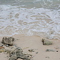 Seashore Photograph by Adriana Zoon Seashore Photograph by Adriana Zoon