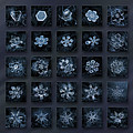 Snowflake collage - Season 2013 dark crystals Photograph by Alexey Kljatov Snowflake collage - Season 2013 dark crystals Photograph by Alexey Kljatov