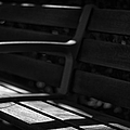 Seat of Memories Photograph by Pablo Lopez Seat of Memories Photograph by Pablo Lopez