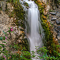 Secret Falls by Gina Gardner