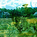 Shadows On The Land by Seth Weaver Shadows On The Land by Seth Weaver