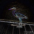 Shake It Off - Electrified Blue Heron by Marian Bell Shake It Off - Electrified Blue Heron by Marian Bell