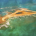 anomaly shark island