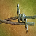 Sharp by Nikolyn McDonald Sharp by Nikolyn McDonald