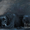 Sheba- Portrait of a Homeless Man's Beloved Pet by Stella Violano