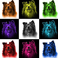 Sheltie Dog Art 0207 - V2 - M Painting by James Ahn Sheltie Dog Art 0207 - V2 - M Painting by James Ahn