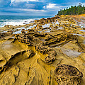Shore Acres Sandstone by Robert Bynum Shore Acres Sandstone by Robert Bynum