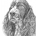 Sibley Drawing by Quwatha Valentine Sibley Drawing by Quwatha Valentine