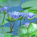 Silken Lilies by Holly Kempe Silken Lilies by Holly Kempe