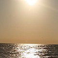 Silver and Gold by Nadine Rippelmeyer Silver and Gold by Nadine Rippelmeyer