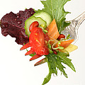 Silver Salad Fork by Iris Richardson Silver Salad Fork by Iris Richardson