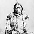 Sitting Bull by War Is Hell Store Sitting Bull by War Is Hell Store