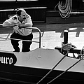 Skipper in O Porto Photograph by Pablo Lopez Skipper in O Porto Photograph by Pablo Lopez