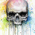 Skull Watercolor Painting Painting by Olga Shvartsur Skull Watercolor Painting Painting by Olga Shvartsur