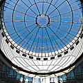 Sky Light Photograph by Jo Ann Tomaselli Sky Light Photograph by Jo Ann Tomaselli
