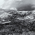 Snow Capped 45 by Mark Myhaver Snow Capped 45 by Mark Myhaver