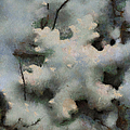 Snow Flake 03 Photo Art by Thomas Woolworth Snow Flake 03 Photo Art by Thomas Woolworth