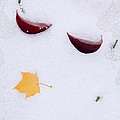 Snow Kissed by Terri Harper