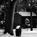 Snow on Tire Swing Photograph by Frank J Casella Snow on Tire Swing Photograph by Frank J Casella