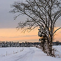 Snowy Country Road Photograph by Holden The Moment Snowy Country Road Photograph by Holden The Moment