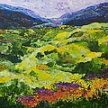 Soft Grass by Allan P Friedlander Soft Grass by Allan P Friedlander