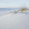 Soft Sandy Beach by Michael Thomas Soft Sandy Beach by Michael Thomas