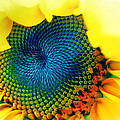 Solar Energy Photograph by Marianna Mills Solar Energy Photograph by Marianna Mills