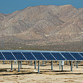 Solar Farm Photograph by Science Photo Library