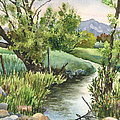 South Boulder Creek Painting by Anne Gifford South Boulder Creek Painting by Anne Gifford