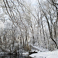 South Park Hiking Trail by Luther Fine Art South Park Hiking Trail by Luther Fine Art