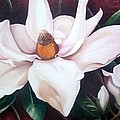 Southern Beauty by Karin Dawn Kelshall- Best Southern Beauty by Karin Dawn Kelshall- Best