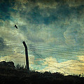 Southwester by Zapista Zapista Southwester by Zapista Zapista