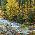 Spearfish Creek Autumn Photograph by Greni Graph Spearfish Creek Autumn Photograph by Greni Graph