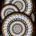 Spinning Guitars 3 Photograph by Mike McGlothlen Spinning Guitars 3 Photograph by Mike McGlothlen