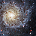 Spiral Galaxy M74 Photograph by Adam Romanowicz Spiral Galaxy M74 Photograph by Adam Romanowicz