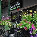 Spot Of Tea Flower Boxes by Michael Thomas Spot Of Tea Flower Boxes by Michael Thomas