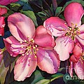 Spring Blossoms Painting by Hailey E Herrera Spring Blossoms Painting by Hailey E Herrera