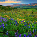 Spring Storm Passing by Mike Dawson Spring Storm Passing by Mike Dawson