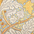 St James Wallpaper Design by William Morris St James Wallpaper Design by William Morris