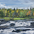 St Louis River Jay Cooke State Park by Tim Fitzharris St Louis River Jay Cooke State Park by Tim Fitzharris
