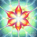 Star of Metatron Drawing by Michelle Bien Star of Metatron Drawing by Michelle Bien