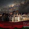 Starry Night Digital Art by Airpower Art Starry Night Digital Art by Airpower Art