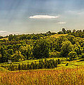 Summer countryside Photograph by Elena Elisseeva Summer countryside Photograph by Elena Elisseeva