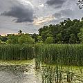 Summer Evening Clouds by Edward Peterson Summer Evening Clouds by Edward Peterson