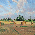 Summer Fields In Georgetown On by Ylli Haruni Summer Fields In Georgetown On by Ylli Haruni